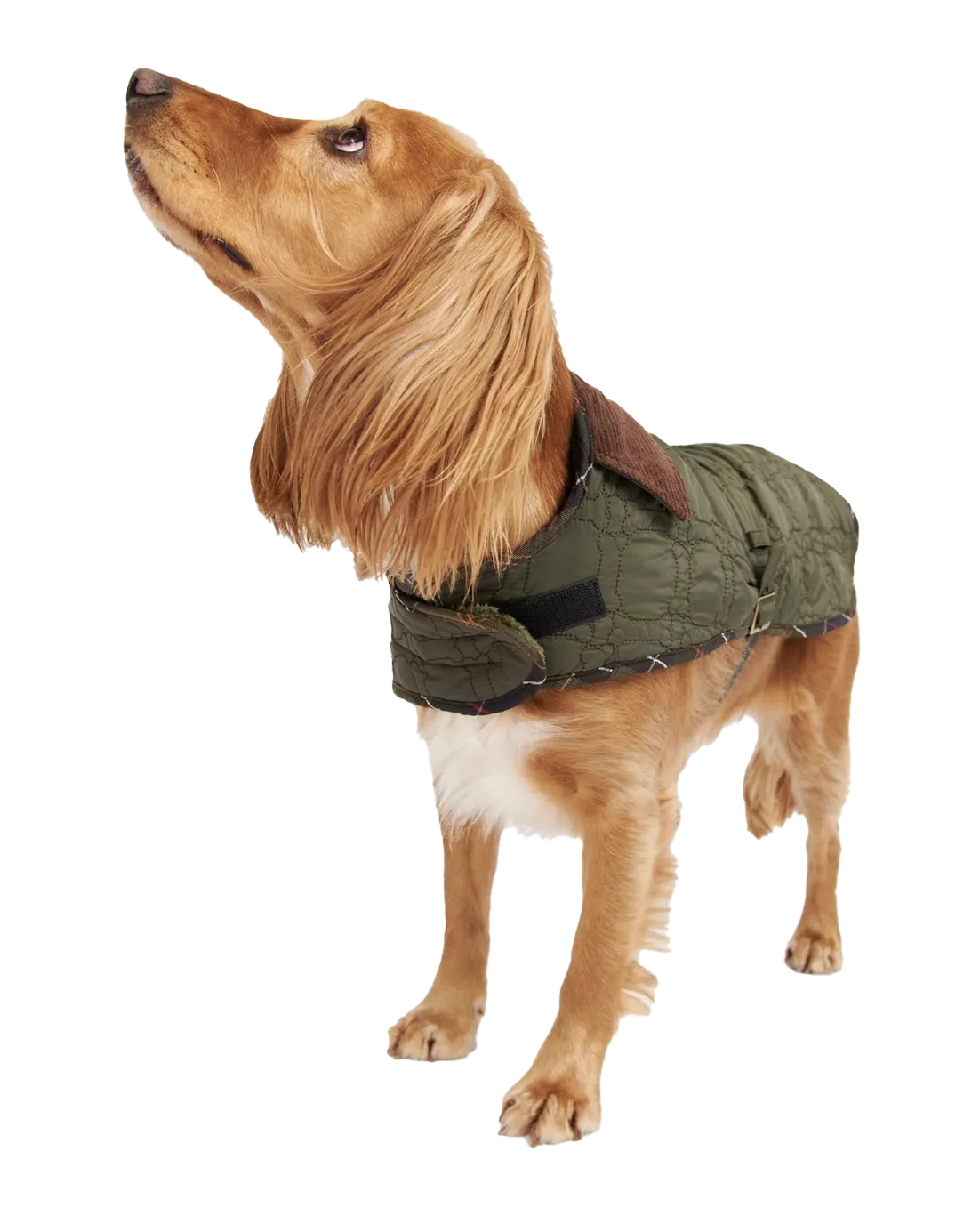 Barbour Dog Bone Quilted Dog Coat