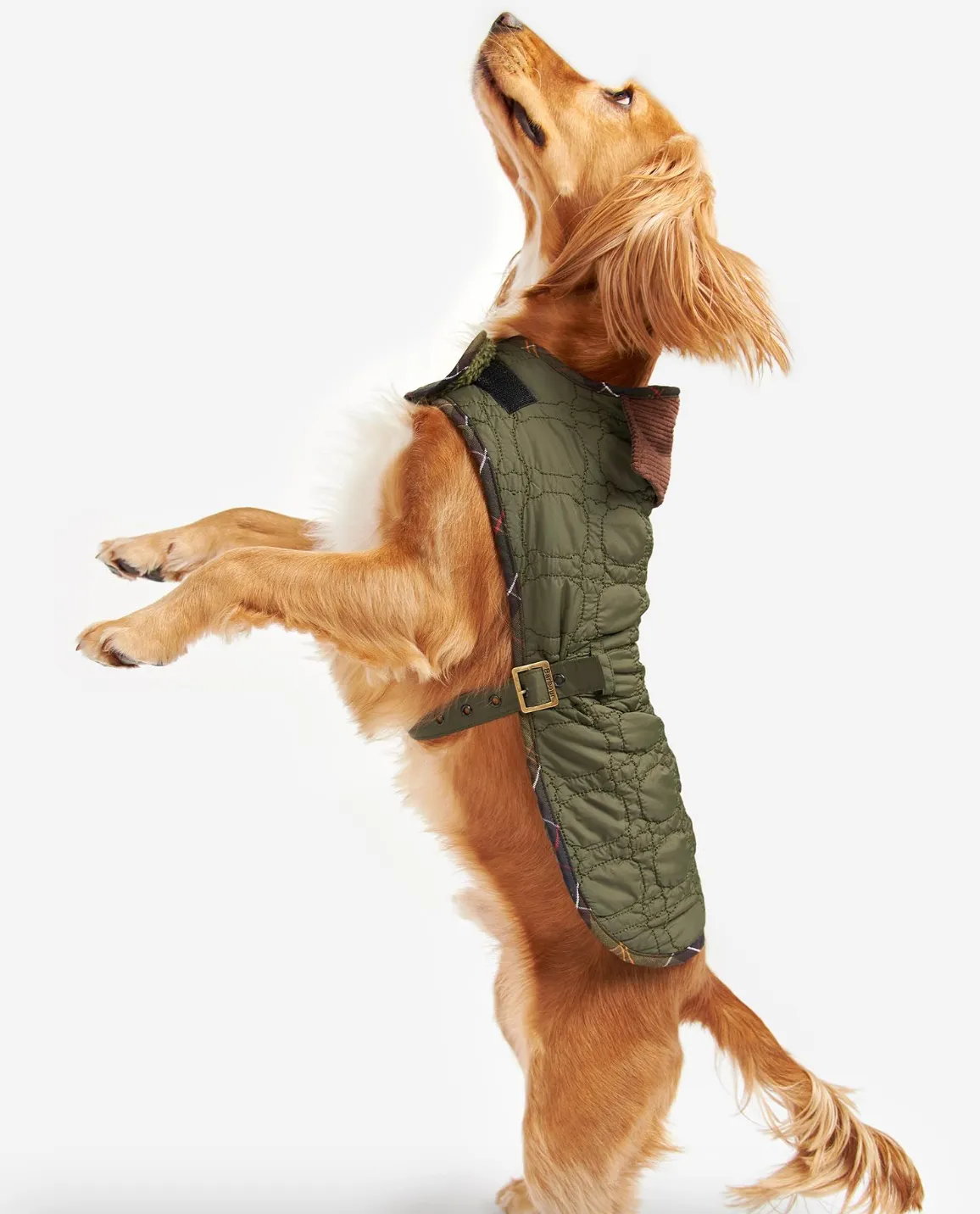 Barbour Dog Bone Quilted Dog Coat